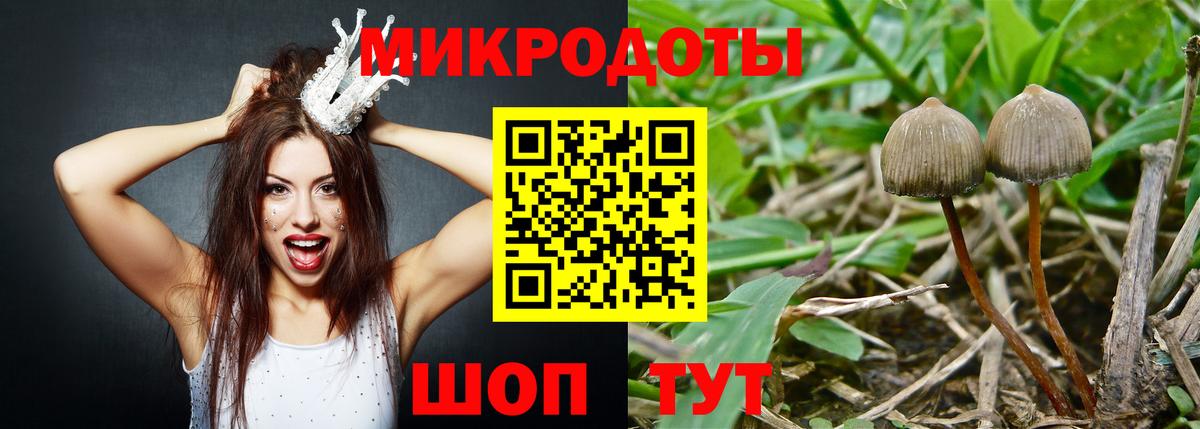 Ефремов  Псилоцибиновые грибы Psilocybe  Вход с VPN 